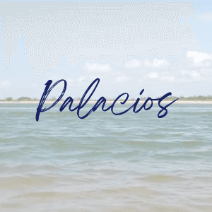 Texan Title Palacios